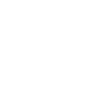 Ecommerce Icon